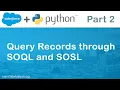 Salesforce AP in Python Query Records