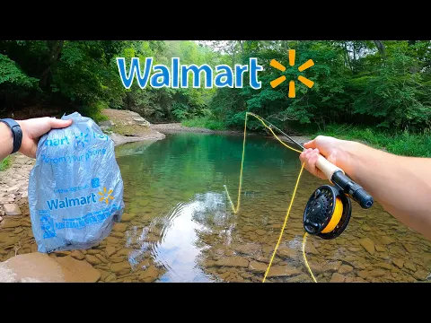 Download MP3 WALMART FLY FISHING CHALLENGE!! || Fly Fishing for Beginners (Brown Trout)