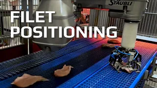 DGS Fillet Positioning System Precision for Optimal End-of-Line Processing