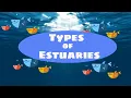 Types of Estuaries