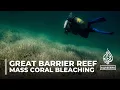 Australia s Great Barrier Reef hit by mass coral bleaching