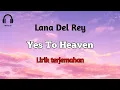 Download Lagu Lana Del Rey - Yes To Heaven ( lirik terjemahan )