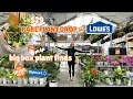 Lowe s got NEW rare plants 29 big box plant finds fails