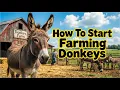 How To Start Farming Donkeys The Complete Beginner s Guide