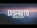 Download Lagu Carla Morrison - Disfruto (Audioiko Remix) LYRICS