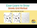 Easy Learn to DRAW what you see Simple Grid Method