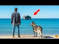 Download Lagu Family Laughed at His Worthless House at Sea — But The Dog's Next Move Left Them Speechless