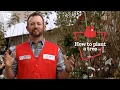 How to Plant a Tree Tractor Supply Co