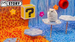 Hamster Mario Maze: Ice & Lava Galaxy 🐹 Homura Ham