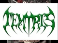 Download Lagu Temtris - Prophecy