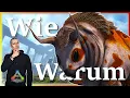 ARK Taming Guide Gasbags zahmen seine Fahigkeiten mit Humor