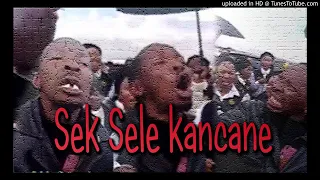 seksele kancane amapiano meets gospel king tebza mix