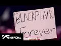 Download Lagu BLACKPINK 2025 WORLD TOUR - Special Moments with BLINKS