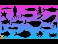 Guess the sea animal shadow quiz shadow game learning sea animals for kids Family Fun Time