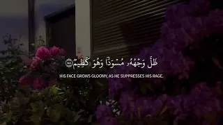  ويجعلون لله البنات سبحانه ولهم ما يشتهون دندنها