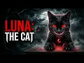 Luna The Cat Full Horror Movie