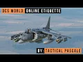 DCS WORLD 10 simple rules for multiplayer Online Etiquette