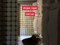 Download Lagu Bisakah KAMU menjadi pengisi suara? Tantangan pengisi suara 2 kata #shorts #voiceover