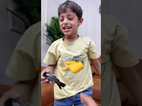 لزمنه البلبل 😹@ياني_وداني