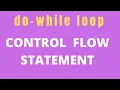do-while loop Control Flow Structures