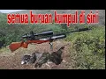 Download Lagu BERBURU AYAM HUTAN,1 lokasi 3 poin