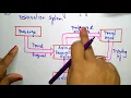 Data flow Diagram Software Engineering SE Lec-41 Bhanu Priya