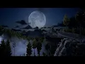 Download Lagu Beautiful Wolf Howling at The Moon Sounds  Sleep and Relaxation  Animal Sound