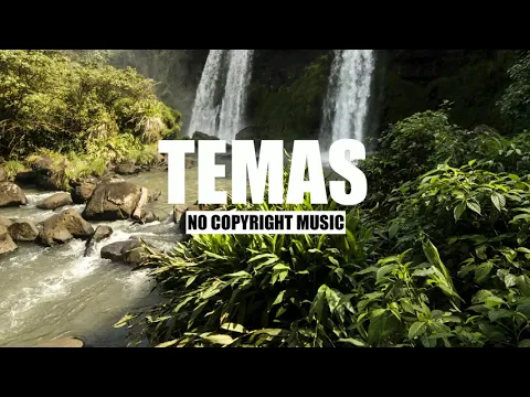 Best Lo-Fi Mix - Coder Playlist - Relax [No Copyright Music - TEMAS ]