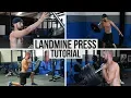 Download Lagu BEST Landmine Press Shoulder Exercise Variations