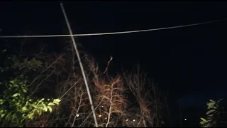 صيد طائر السمن في الليل 