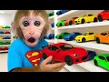 Download Lagu Monyet Bon Bon Imut memanen anggur di peternakan dan mandi di bak mandi busa bersama teman bebek