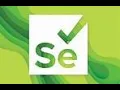 Programming used in Selenium G C Reddy Software Testing