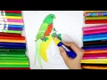 Letter Q Quetzal Bird coloring pages preschool - Learning colors and Alphabets for Kids