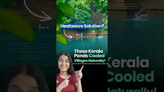 Before Infinity Pools, Kerala Had Ambalakulams thumbnail