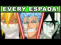 All 13 Espada and Their Powers Explained Every Member of Aizen s 10 Blades in Bleach