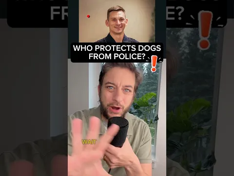 Wait - are you serious?