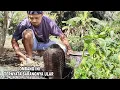 Download Lagu SAYA MENEMUKAN LOBANG| TERNYATA SARANGNYA ULAR