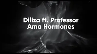 diliza ft professor ama hormones lyric video 