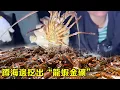 Download Lagu 淩晨2點半！ 小漁蹲海邊挖出“龍蝦金礦”，螃蟹辣螺自動爬進桶，這地方也太邪門了【漁小仙】