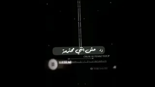 شقلبتي احساسي انت جنسك ايه     دندنها