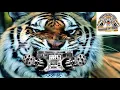 Download Lagu dj bola