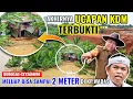 AKHIRNYA UCAPAN KDM TERBUKTI‼️BANJIR BESAR DI KALI WADAS JIKA KALI CITARUM MELUAP BISA SAMPAI 2 M 