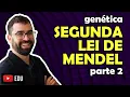 Mendel s Second Law part 2 - Class 11