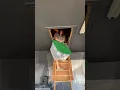 Putting up Christmas Decor