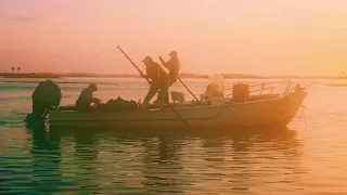COMMERCIAL OYSTER Hand tonging for oysters / Harvesting Florida Oysters / America’s Favorite Oyster