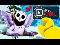 Download Lagu I Survived The OWL UPDATE in 99 Nights in the Forest🔦