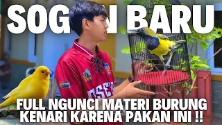 get a sogon filled full of canari the sogon almost sounds out of it 