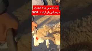                                                                     دندنها