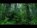 Fall Asleep Fast with Deep Forest Rain Sound - Rain Sounds for Deep Sleep & Stress Relief