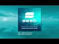 Seeb - Breathe - Dimitri Vangelis & Wyman Remix ft. Neev